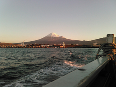 田子の浦からアマダイ