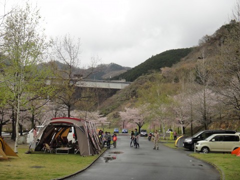 松田川ダムお花見キャンプ！2015