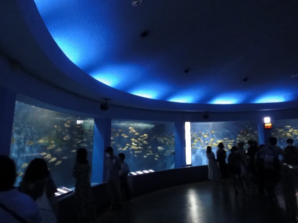 京急2DAYきっぷ旅~さよなら油壺 京急2DAYきっぷ旅~さよなら油壺