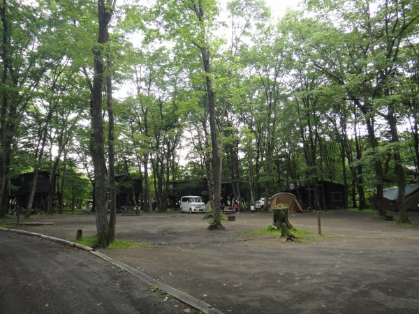 北軽井沢スウィートグラスでセレナお別れキャンプ
