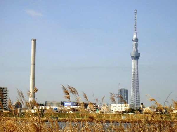 荒川ＣＲで葛西臨海公園へ♪