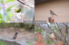 淡路島でファミリーキャンプ！後編