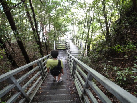 奥大井☆鉄子の旅～あぷとライン編