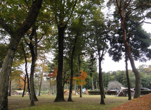 鳥野目河川公園で秋のソロキャンプ！