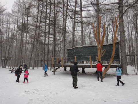 北軽井沢スウィートグラス☆雪中キャン