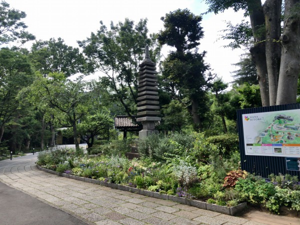 よみうりランド眺望温泉 花景の湯