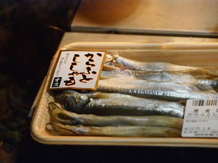 2017年初キャンは独りぼっち～w|;ﾟﾛﾟ|w