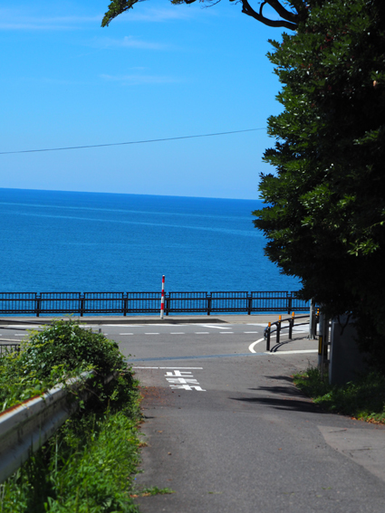 実家に帰らせていただきます週間2018③