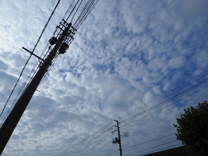 秋田から帰って来たよってお話(*ﾟ.ﾟ)ゞ