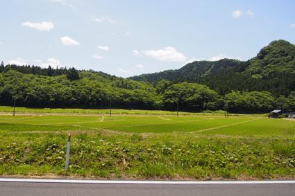 【2015.6.7】お試しキャンプ２日目♪