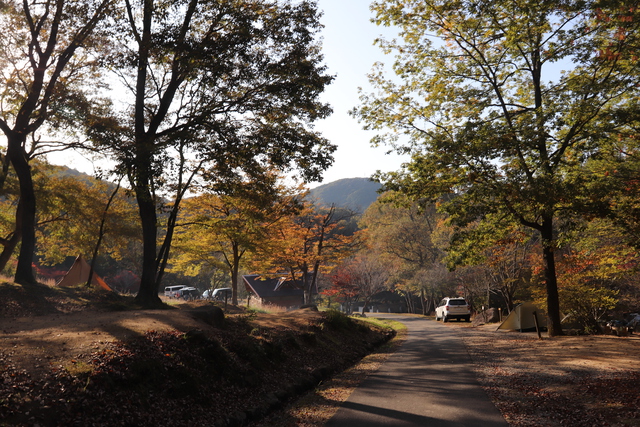 温泉無いけど、そこに四季はありました in 矢野温泉公園 四季の里キャンプ場 2020.10.31~1