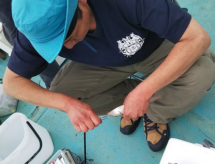 2019/6/1、2　　中潮→大潮