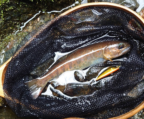 2023/4/5、6　　　　後編
