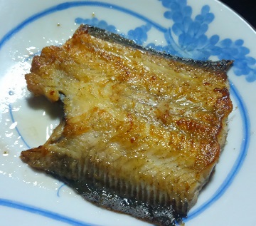2015/5/8　中潮