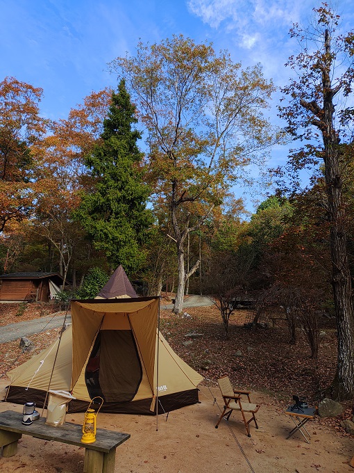 荘厳寺〜いつもの森でソロキャンプ