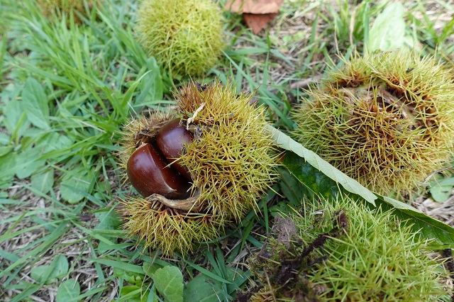 兎和野高原でソロキャンプ