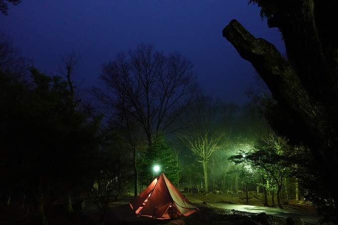 雨の中、いつもの森でソロキャンプ
