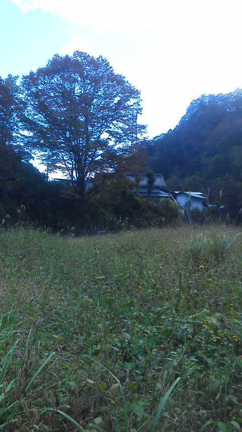 10/3 FTR223de初・群馬県