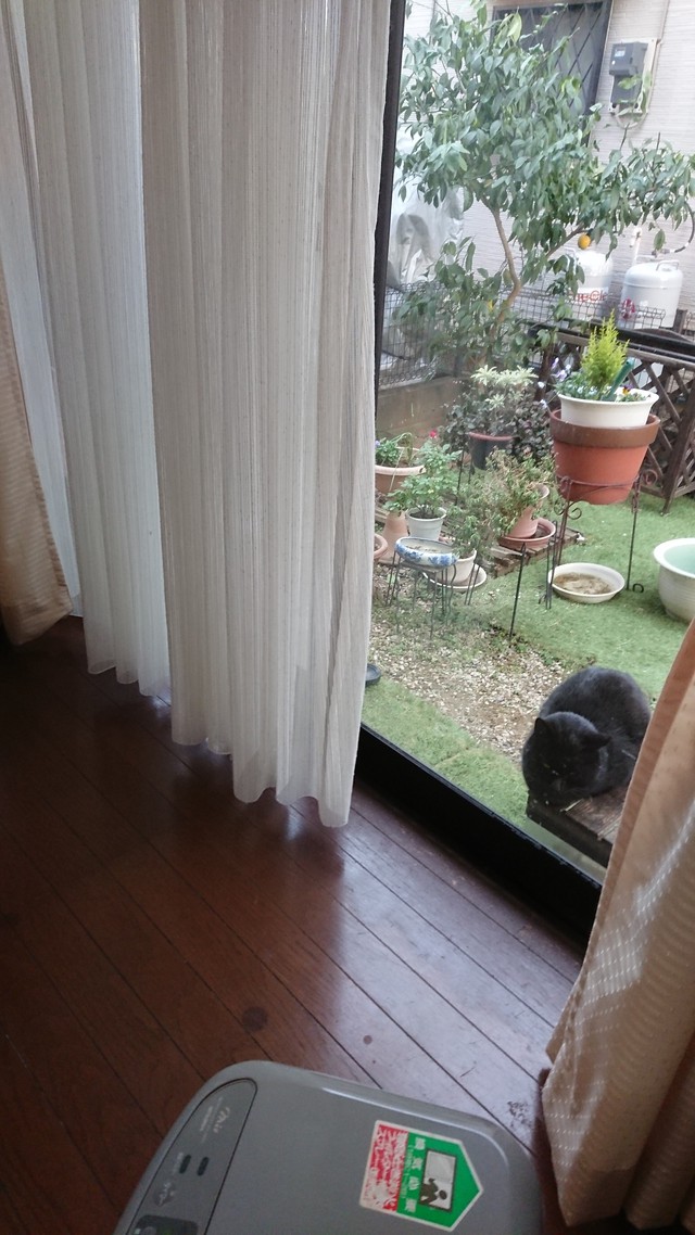 1/8 堪える寒さが続きますねぇ・・