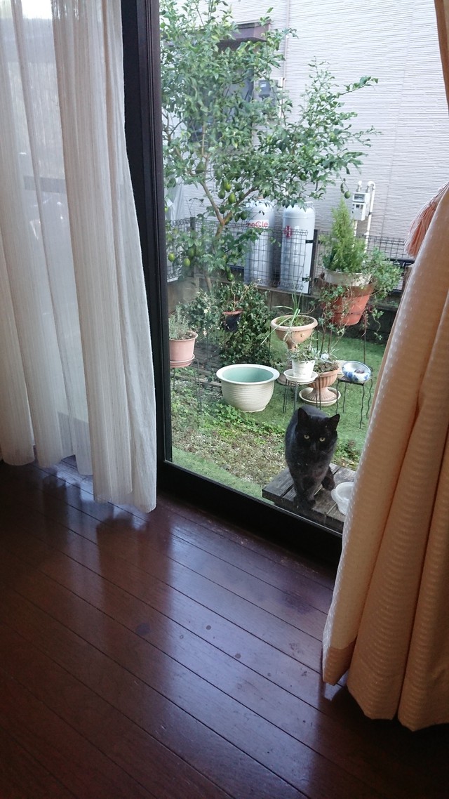 11/5 今季/初おでん♪