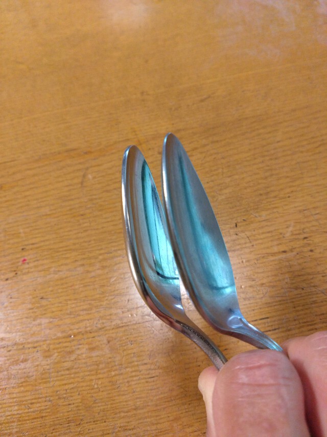 11/17 やまべ釣り連続９日目