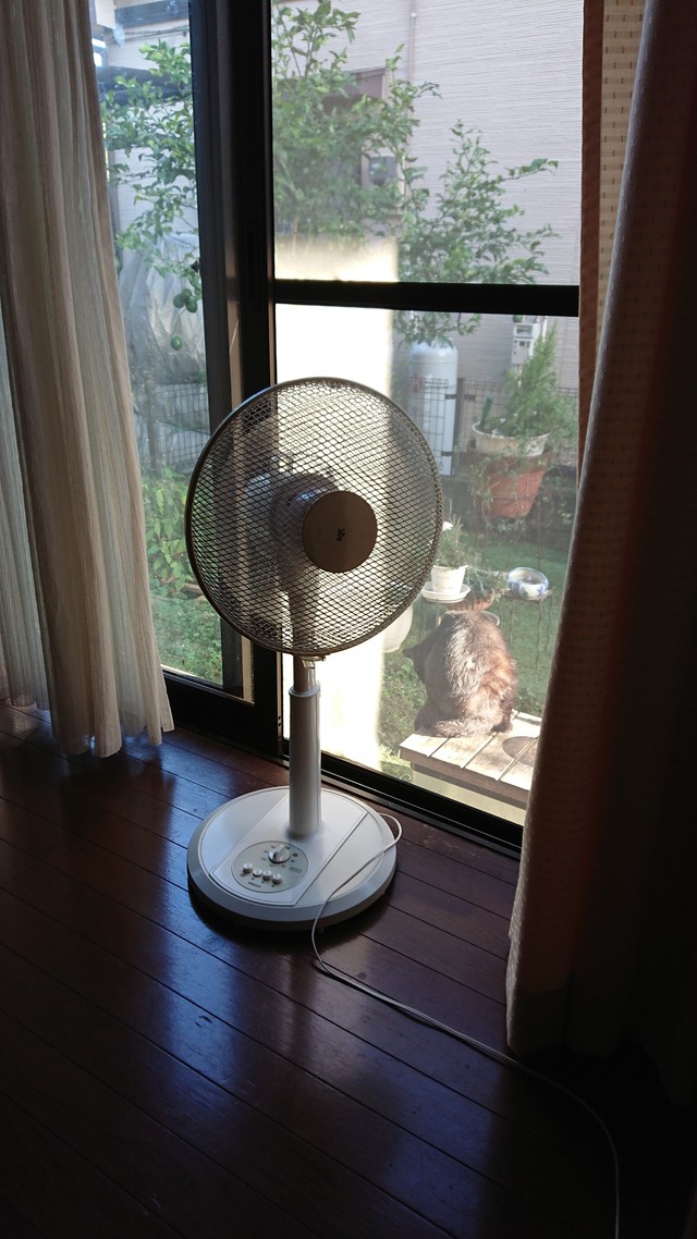 10/11 姿勢を良くするゾ♪