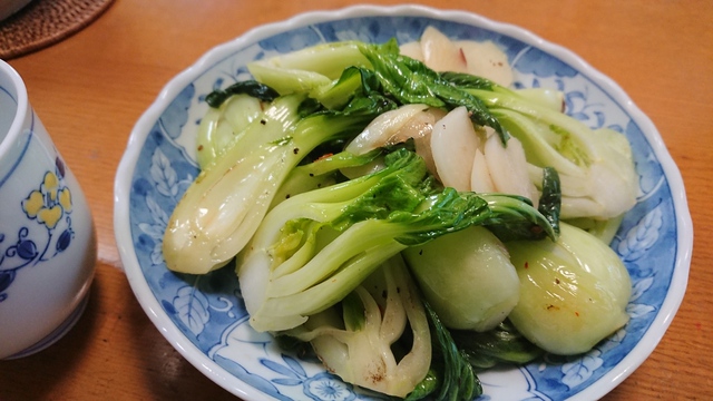 11/14　いるま川ポタリング/やまべ釣りも