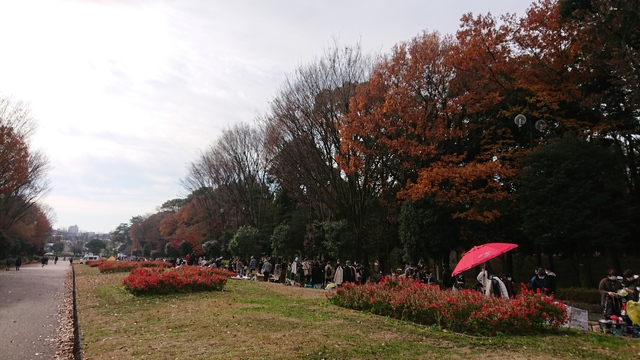 12/12 チャリde柳瀬川（やまべ釣り）