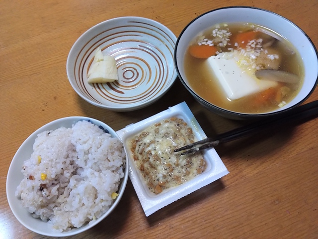 2/16 春の陽気