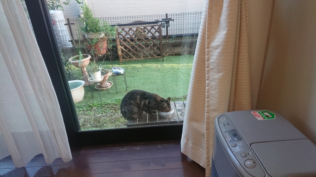 11/10 実りの秋を満喫