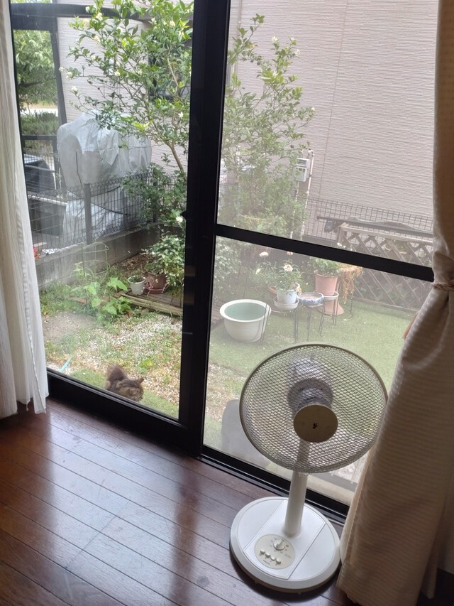 7/5 台風４号は温帯低気圧に