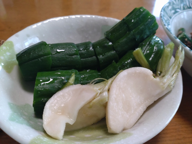 6/11 嵐の前の静けさ？雨の日曜日