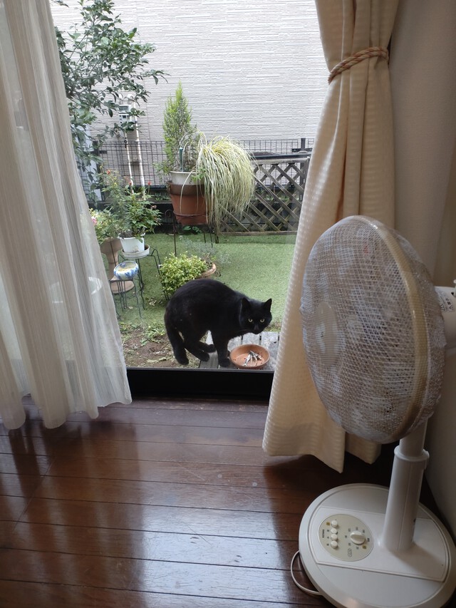 10/25 初冠雪？