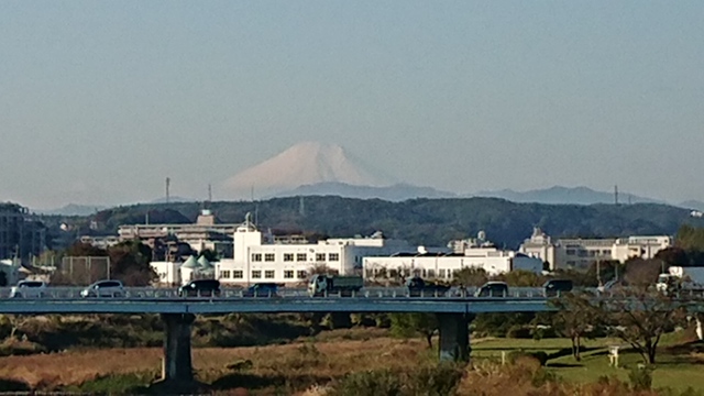 11/5 今季/初おでん♪