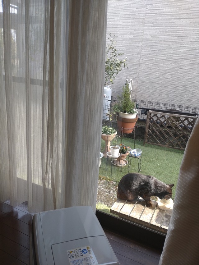 3/7 巣籠もりの虫戸を開く[72候]