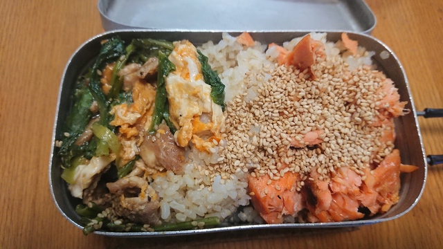10/30 家の裏でバス釣り