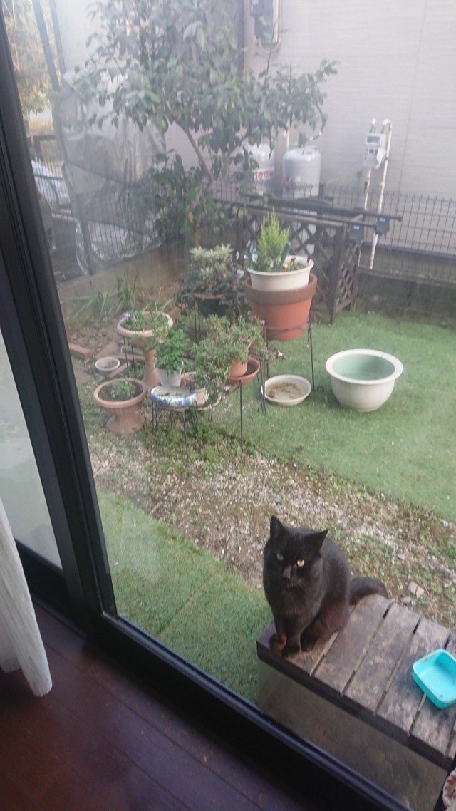 12/29 年末押し迫る