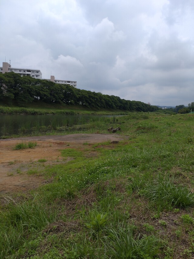 6/11 川見/いるま川