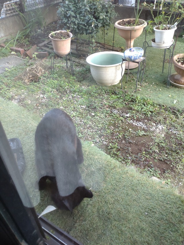 11/25 虹隠れて見えず[72候]