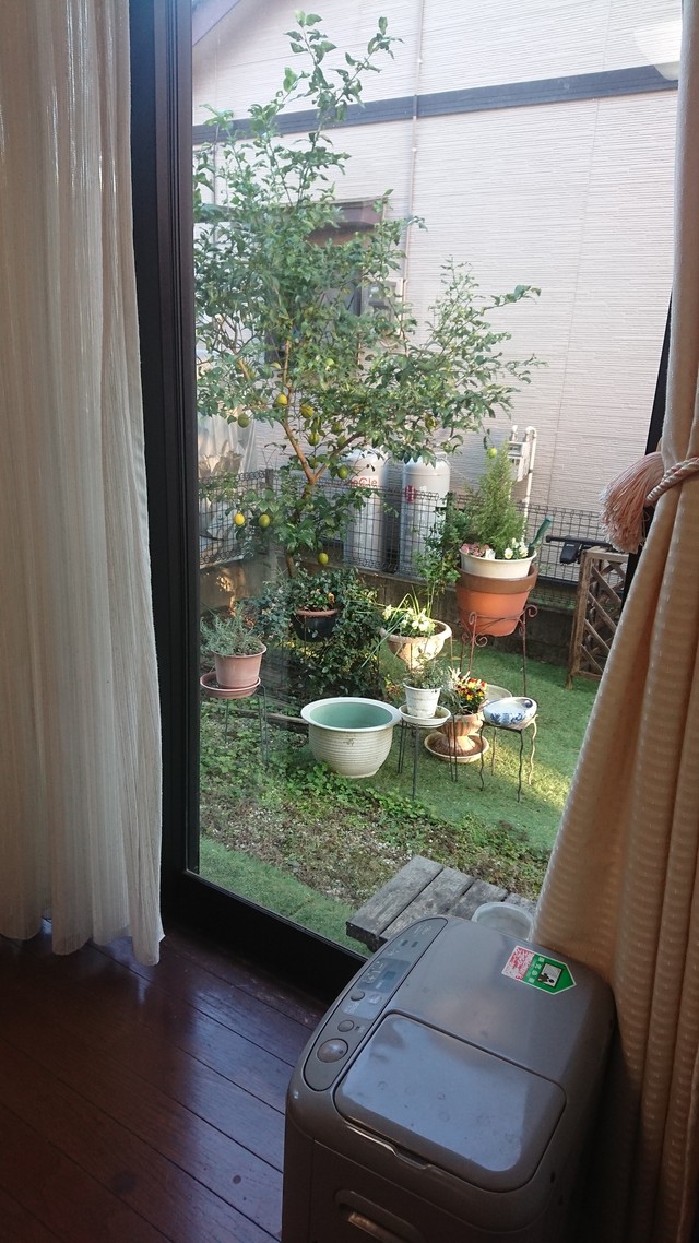 11/25 体中、擦り傷だらけ。。