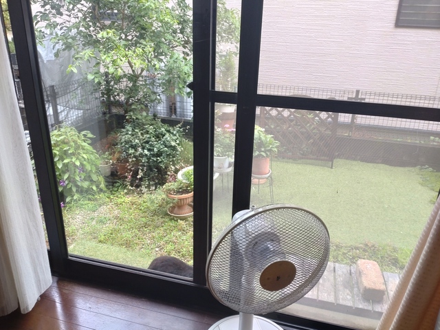 9/2 鉄フライパン