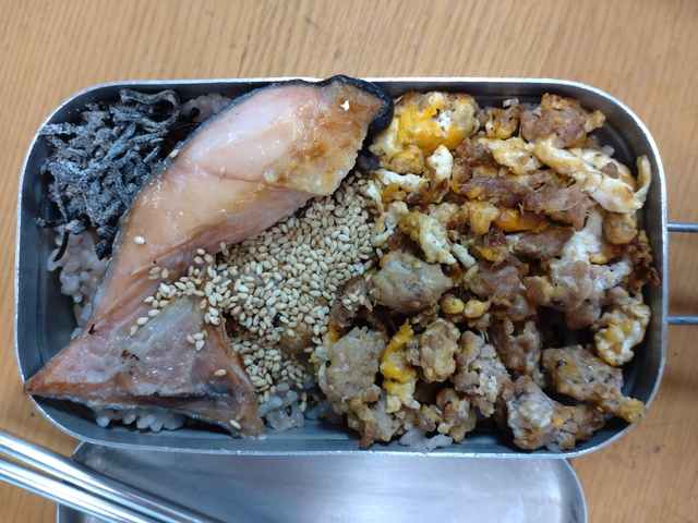 5/1 ひらつかde波乗り