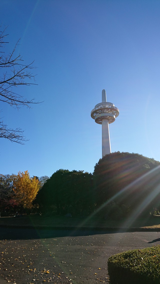 11/27 ポタリング/航空公園～柳瀬川（やまべ釣り）～多摩湖・狭山湖