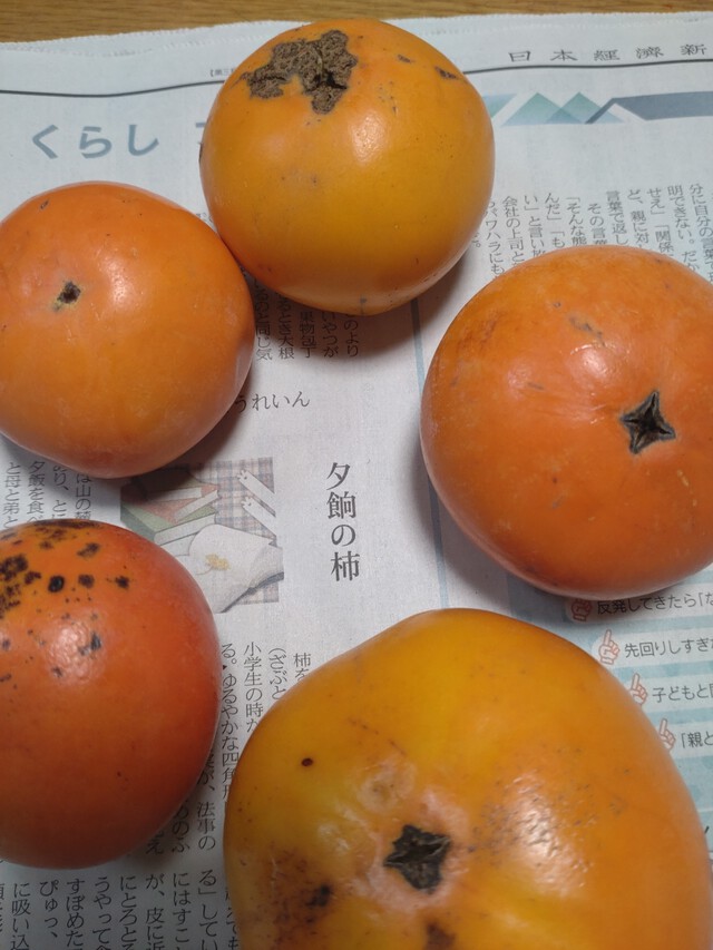 11/1 霜月となる