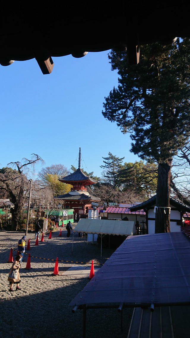 1/3 チャリde喜多院