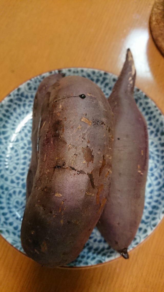 11/7 家の裏deやまべ釣り