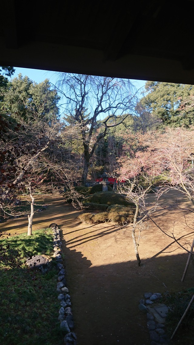1/3 チャリde喜多院