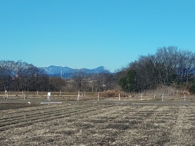 2/17 今週末も大雪予想だね。