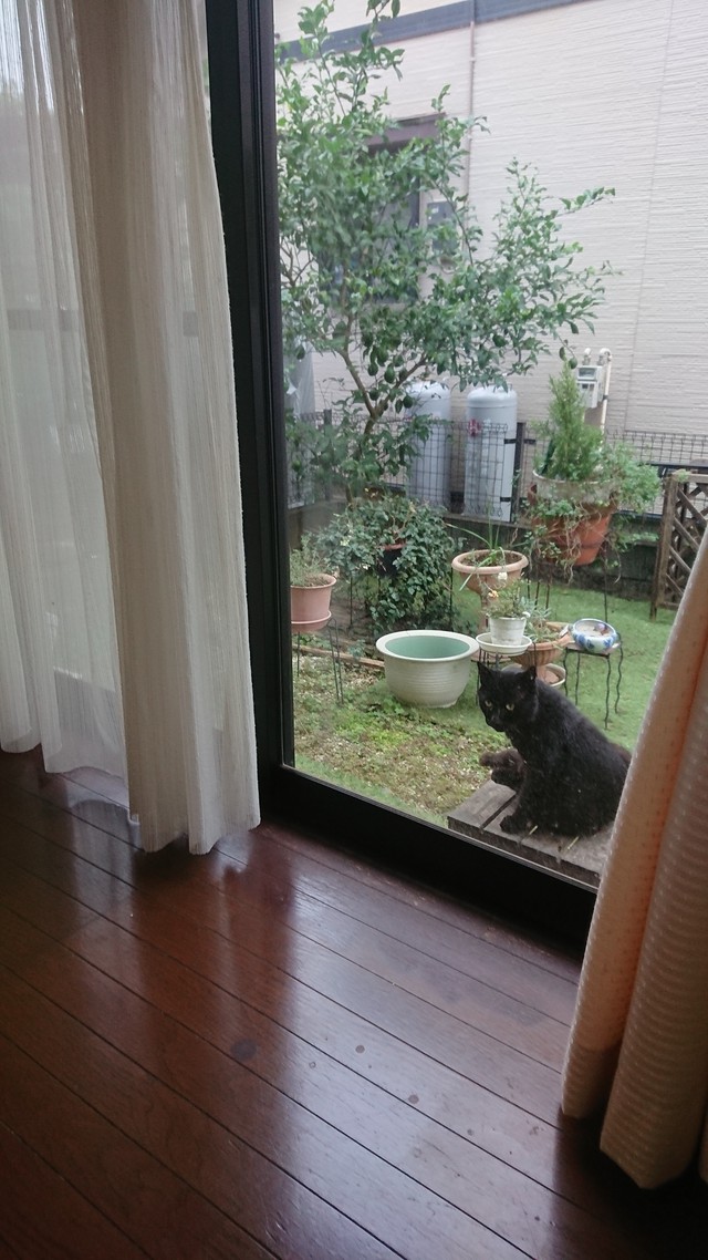 10/25 霜始めて降る[72候]