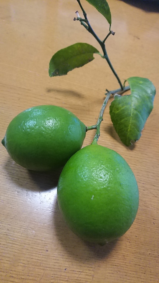11/7 家の裏deやまべ釣り